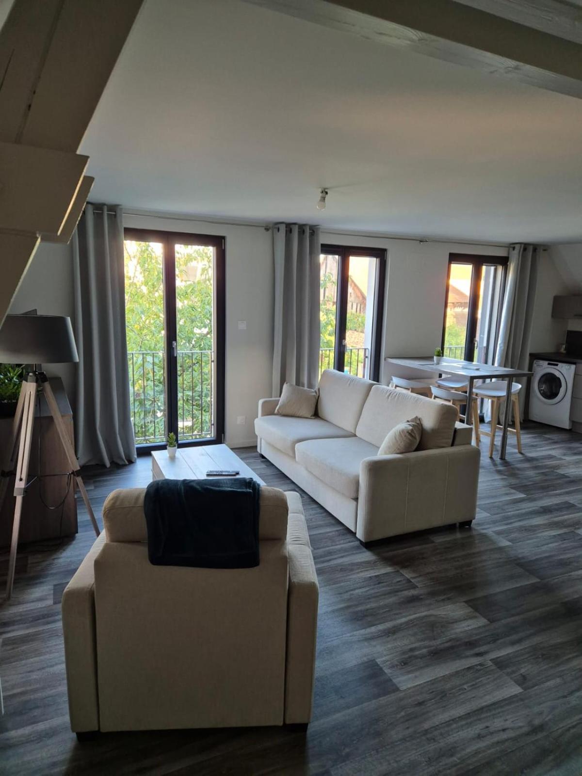 Apartment 2 Pieces Confort, Aux Portes De Colmar